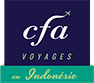 http://www.voyages-en-indonesie.com